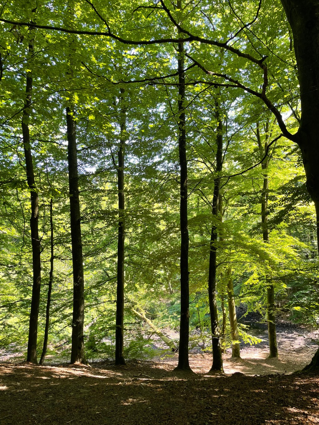 Pratique mindfulness